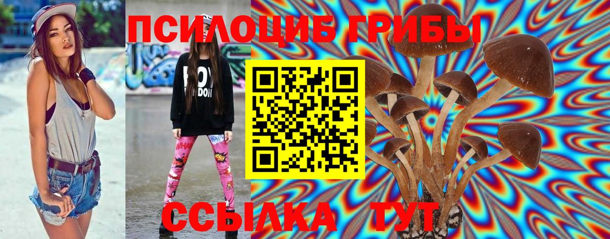 Псилоцибиновые грибы мицелий Балашов