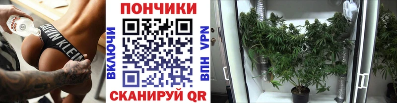 Бошки Шишки OG Kush Балашов